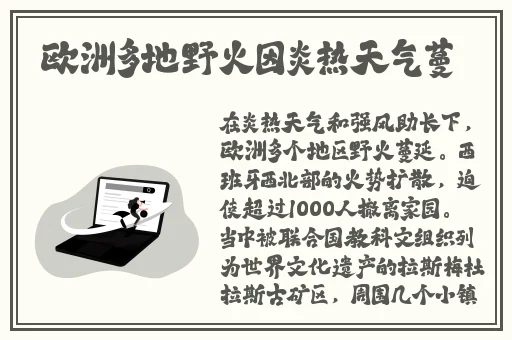 樱桃视频观看免费下载